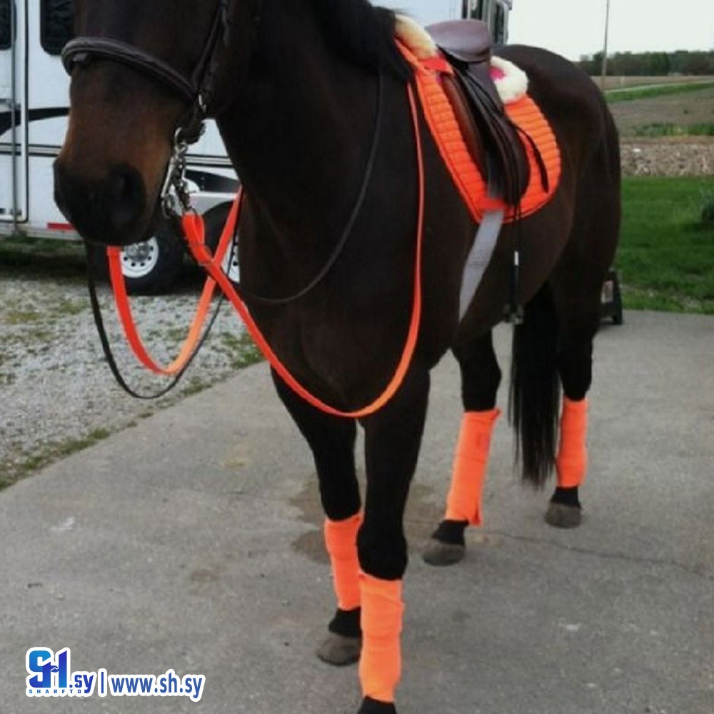 رسن الخيل 9 (السيروان)