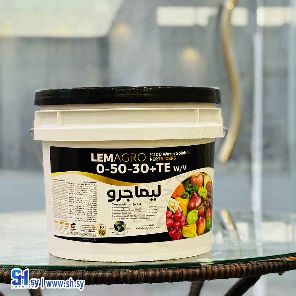 بذور نبات ليماجرو (آسيا تاريم)