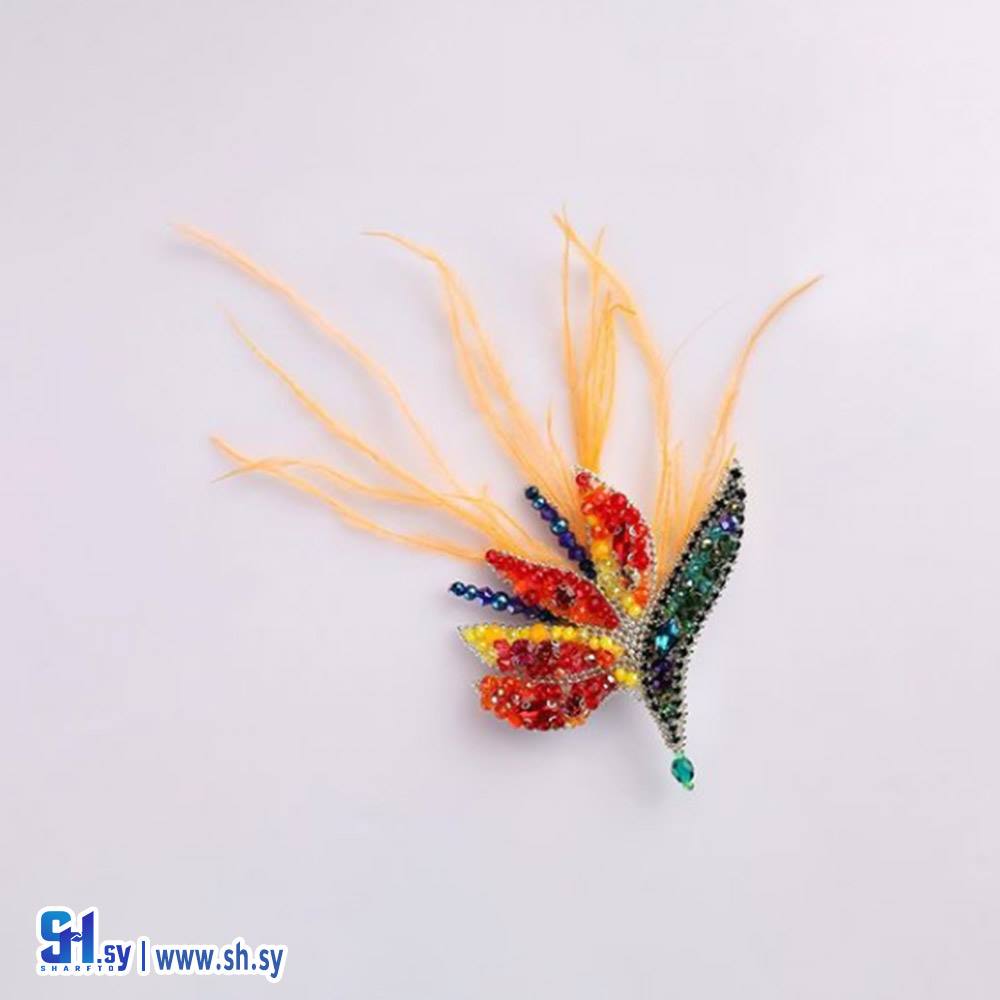 بروش موديل وردة 2(كذا فكرة)