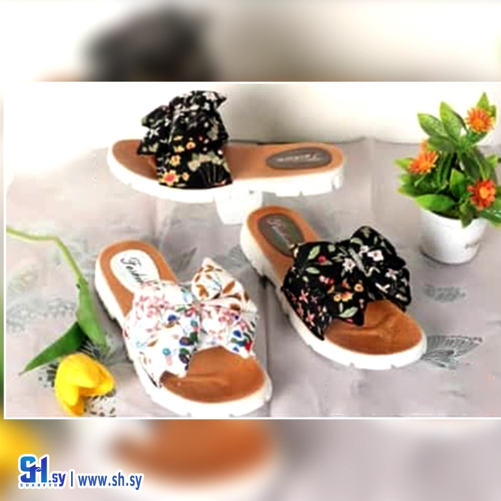 شحاط نسائي 12 (كليسي)