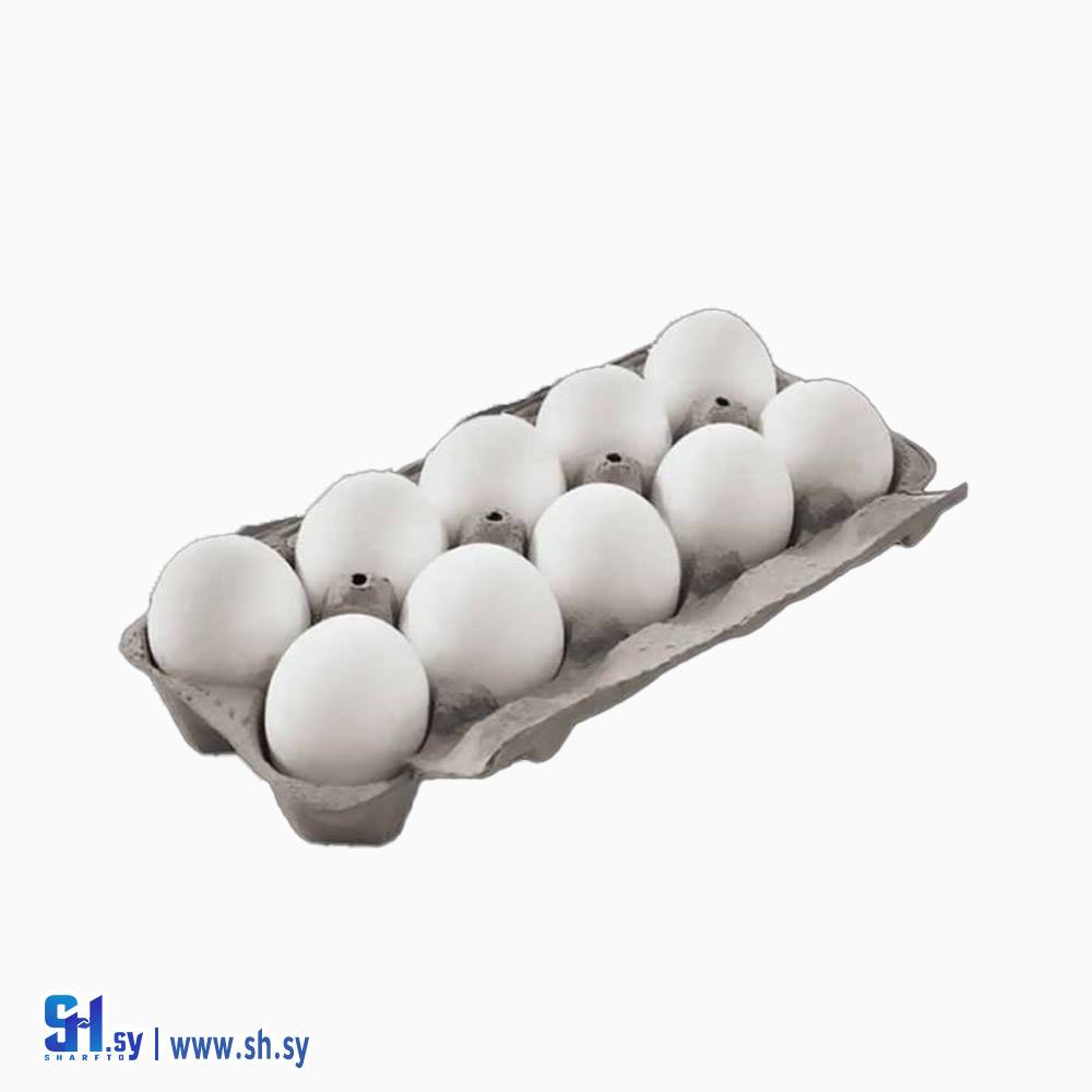 بيض طازج 10 بيضة (الخطاب)