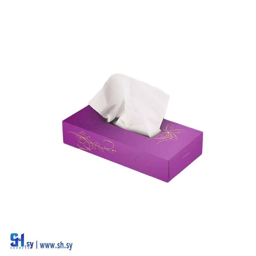 كرتون 15 (النذير)