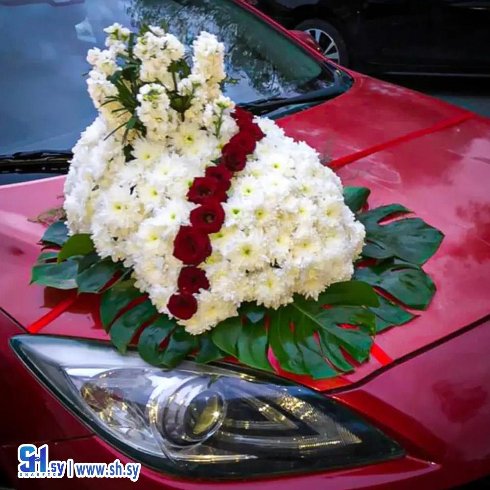 تزيين سيارات(Moon rose)