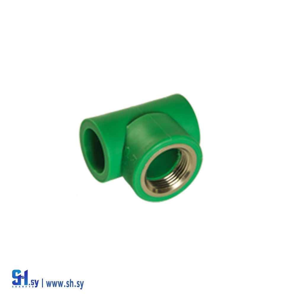 تيه بسن أنثى (ريان بلاست)