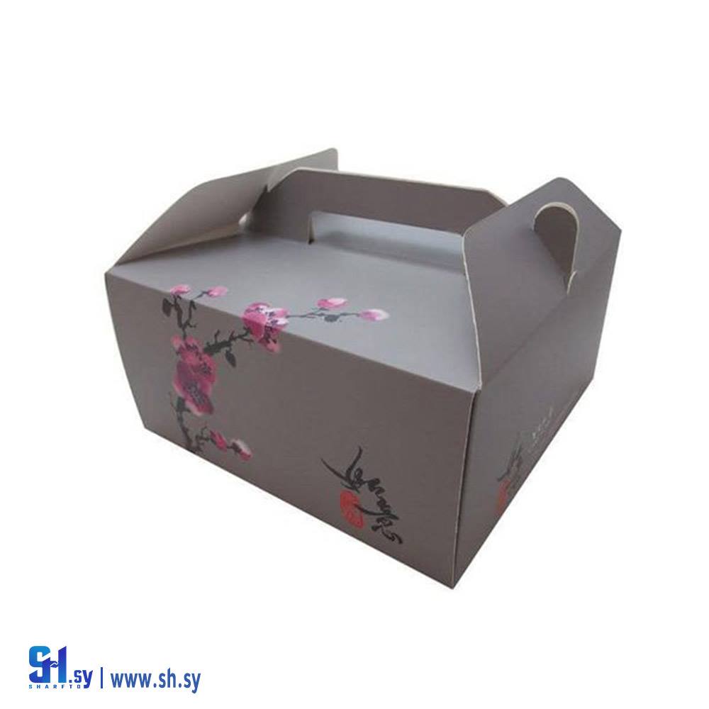 كرتون 53 (الجيرودي)