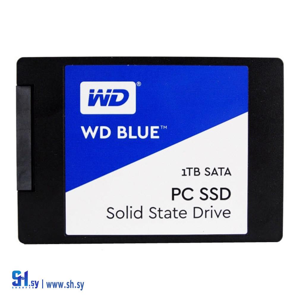 SSD SATA W.D BLUE 960G هارد خارجي (المصدر)