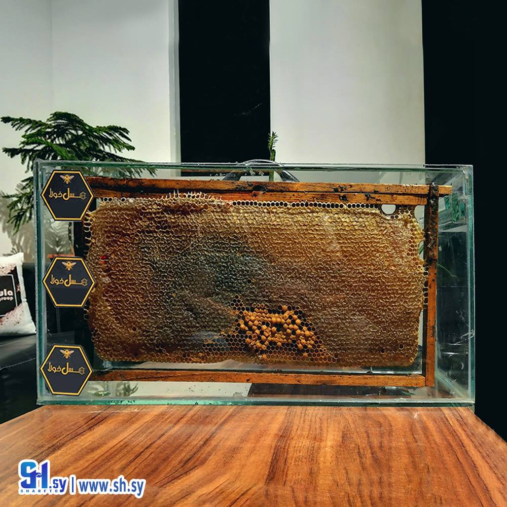 عسل بشهدو (عسل خولا)