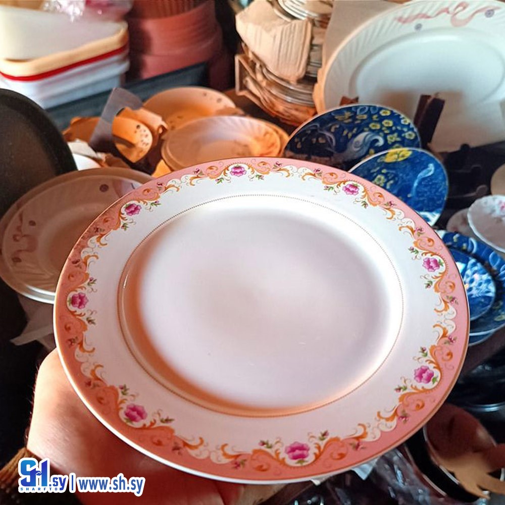 صحن مسطح بونشاينا (معرض فاين)