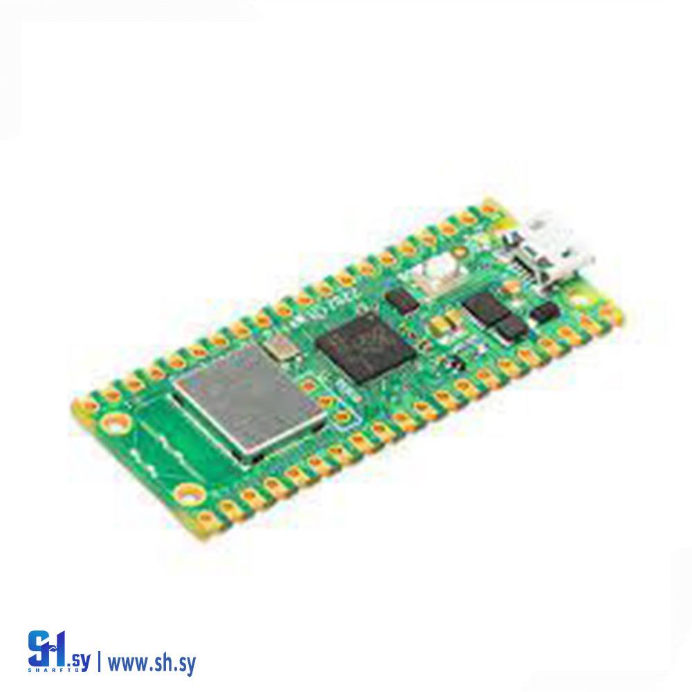 Raspberry pi pico W شريحة التحكم الدقيقة (paython store)