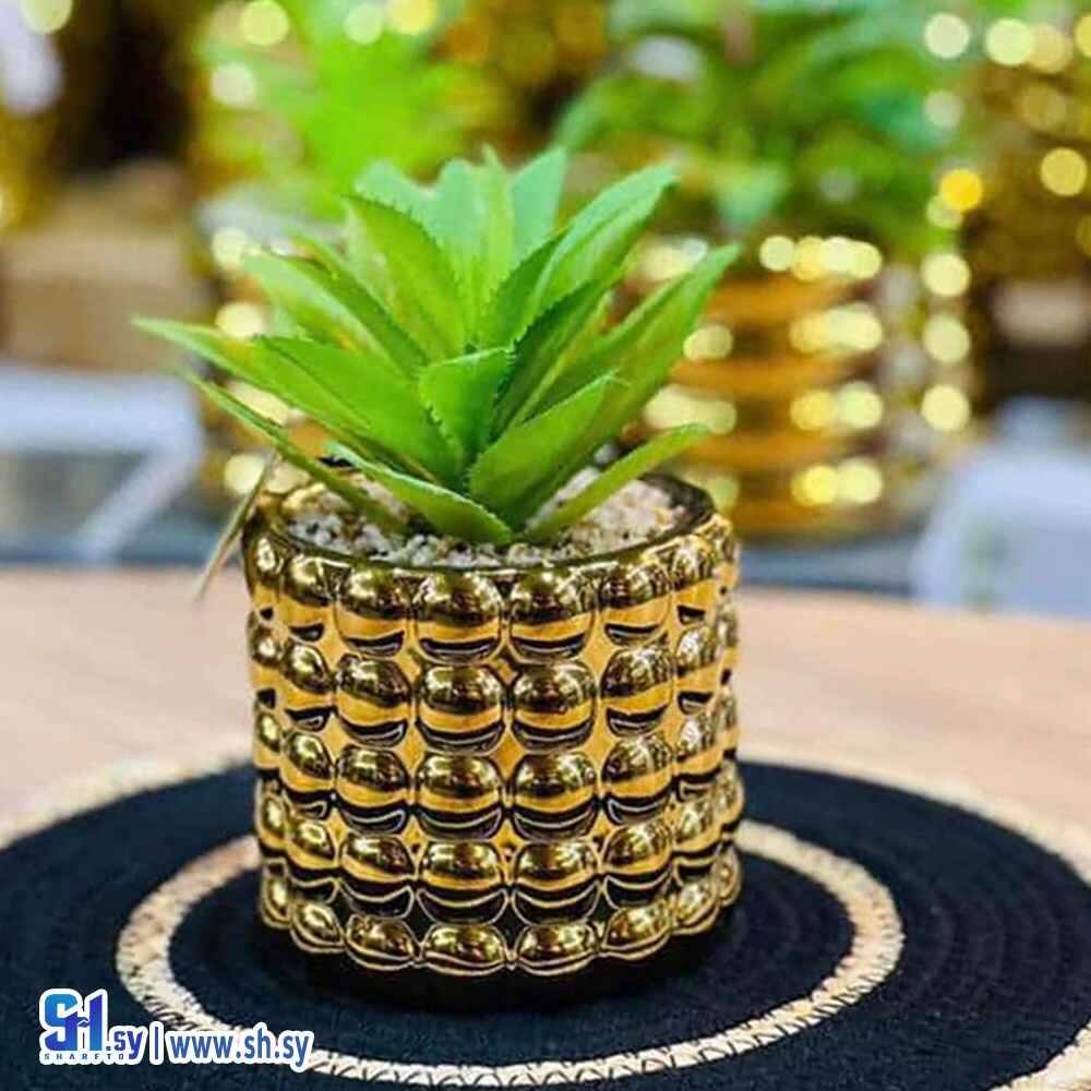 حوض زريعه مكتبي(TOYS LAND)