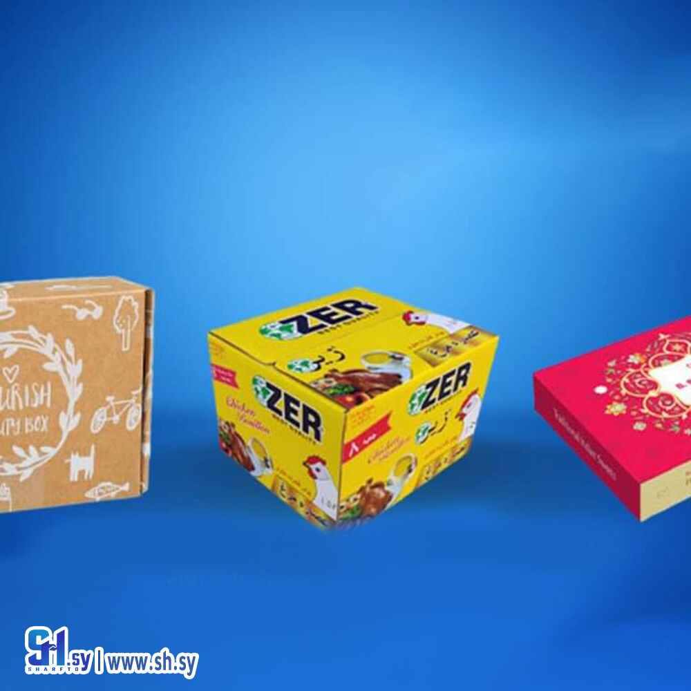 كرتون 2 (مصطفى شيباني)