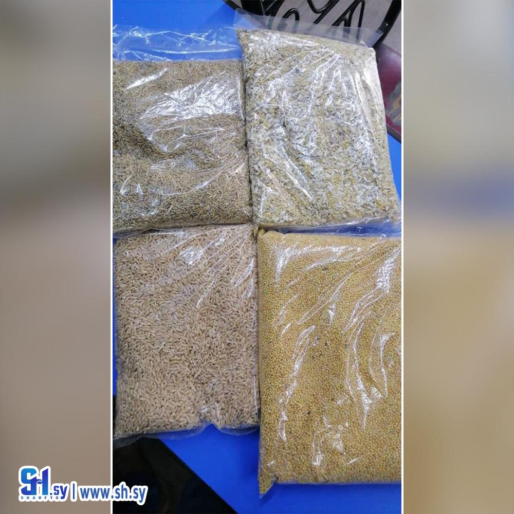 غذاء متنوع للطيور (ركن الطيور)