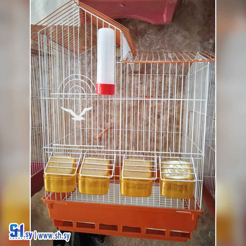 قفص كبير 5 (بيرد مارت)