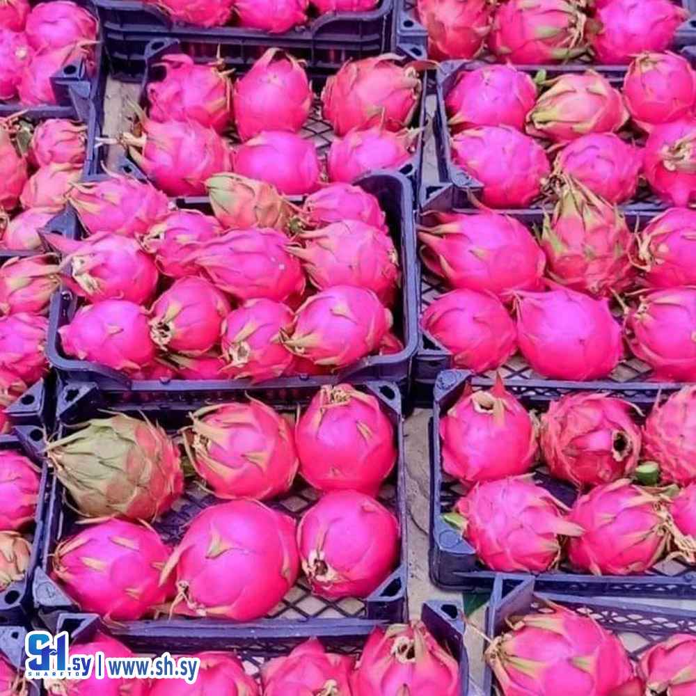 فاكهة التنين (نادر صالح)