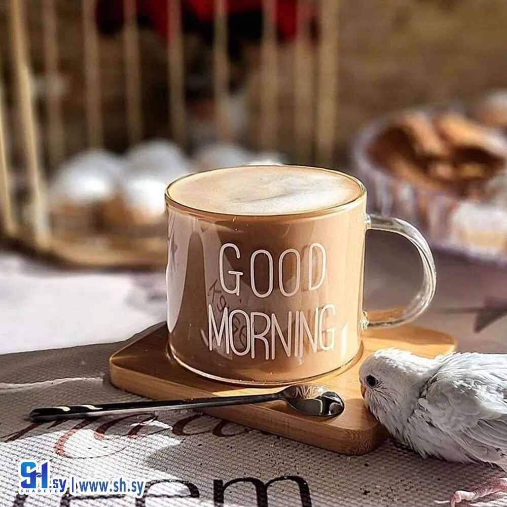ماغ التريند(الرواس)
