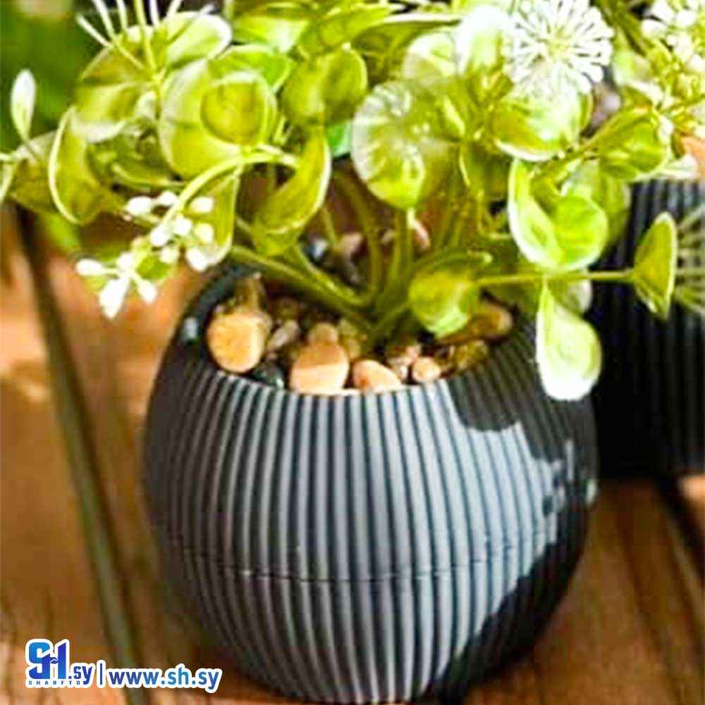 علبة زريعة كروي ١٤سم ( باتكوبلاست)