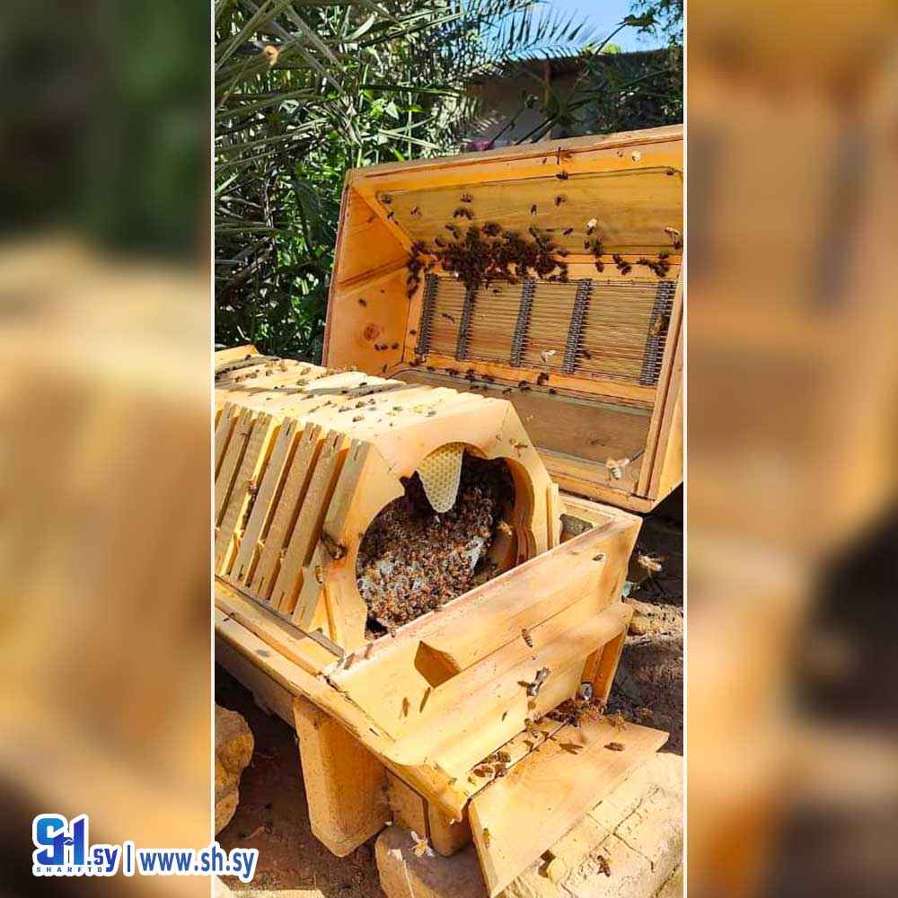 بيت النحل خشبي ( عجاج للأخشاب )